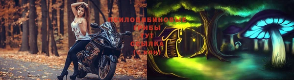 каннабис Осташков