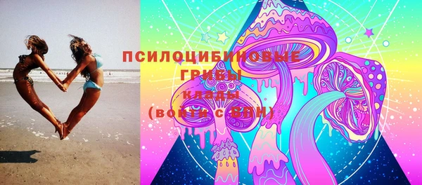 прущие крисы Осинники